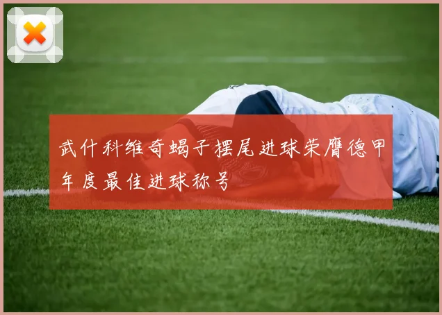 武什科维奇蝎子摆尾进球荣膺德甲年度最佳进球称号